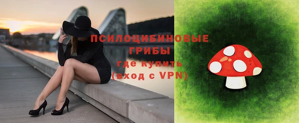 кристаллы Покачи