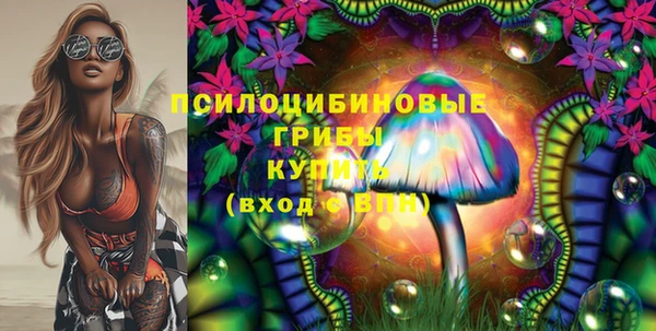 кристаллы Покачи