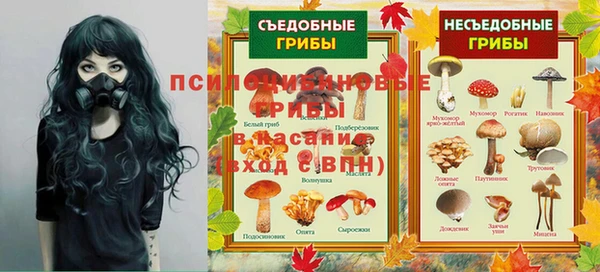 PSILOCYBIN Покровск